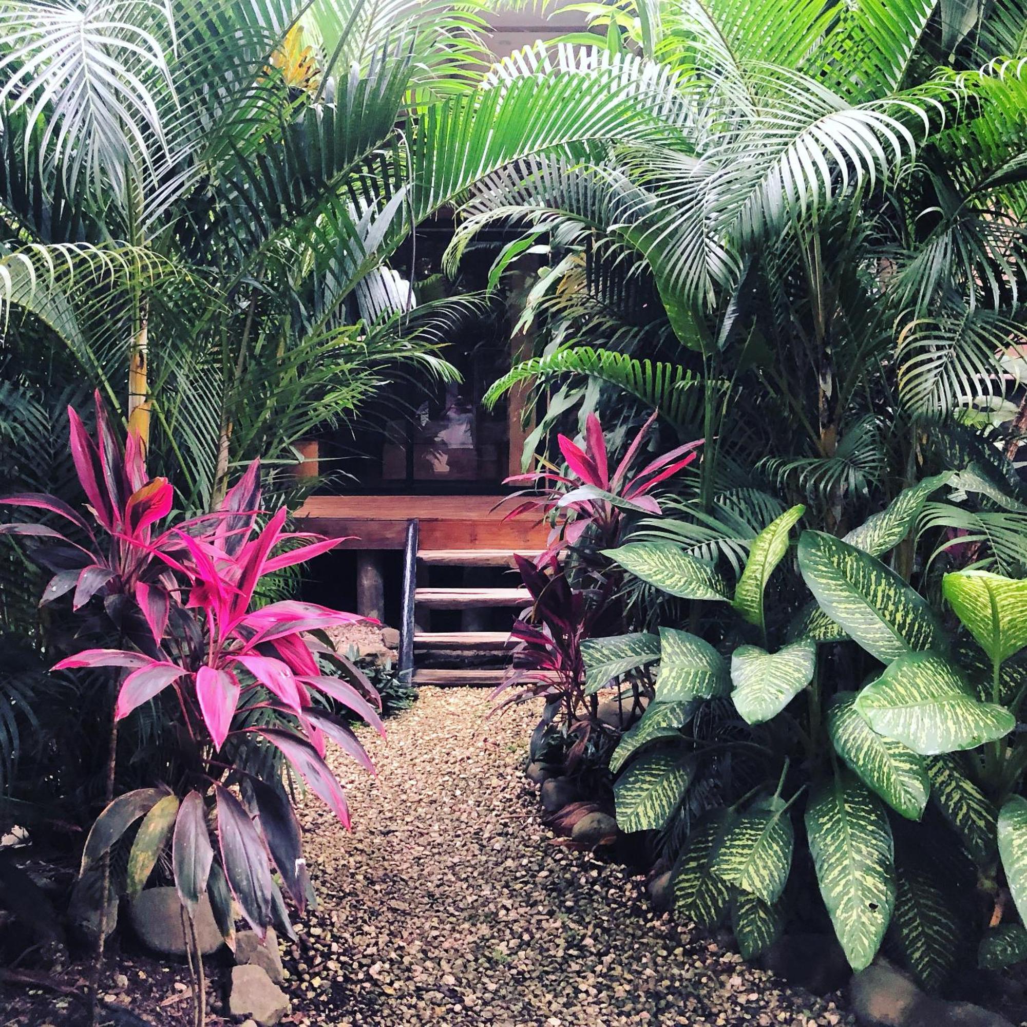 Santeria Lodge Playa Santa Teresa  외부 사진