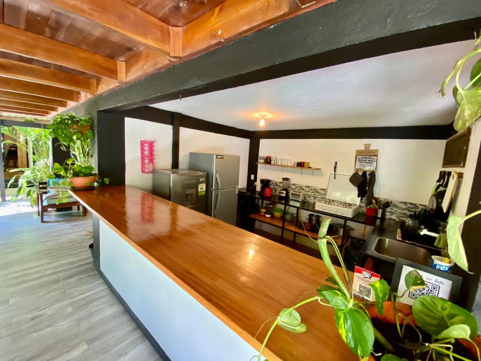 Santeria Lodge Playa Santa Teresa  외부 사진