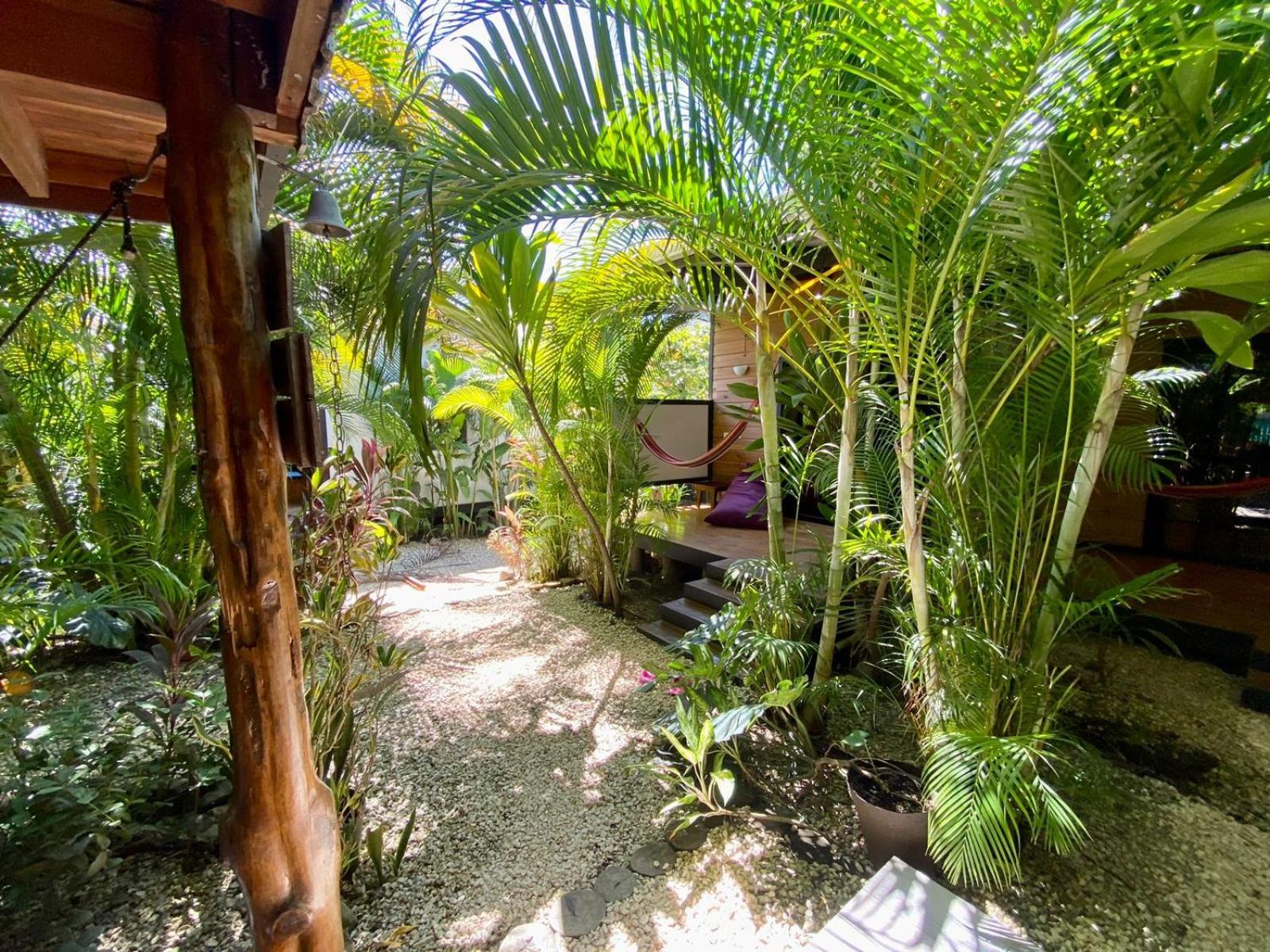Santeria Lodge Playa Santa Teresa  외부 사진
