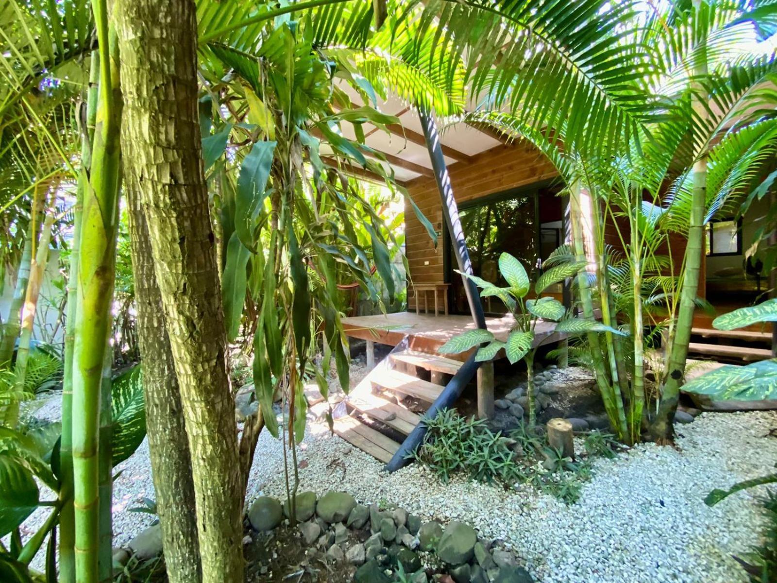 Santeria Lodge Playa Santa Teresa  외부 사진