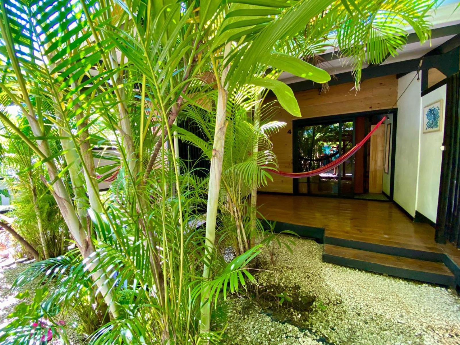 Santeria Lodge Playa Santa Teresa  외부 사진