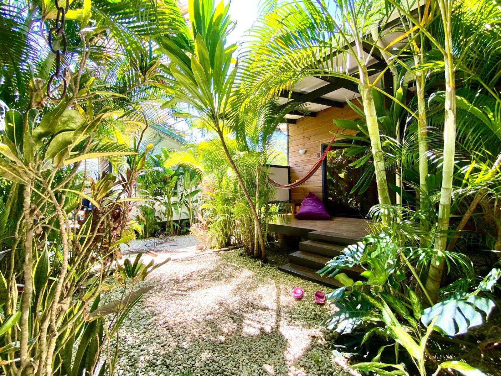 Santeria Lodge Playa Santa Teresa  외부 사진