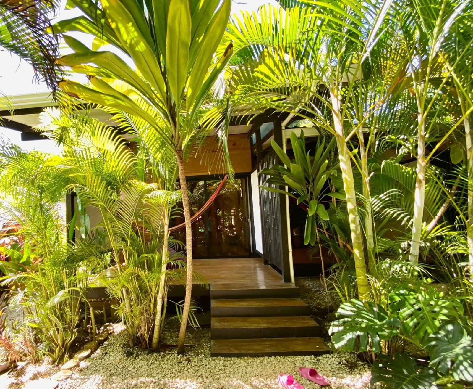 Santeria Lodge Playa Santa Teresa  외부 사진
