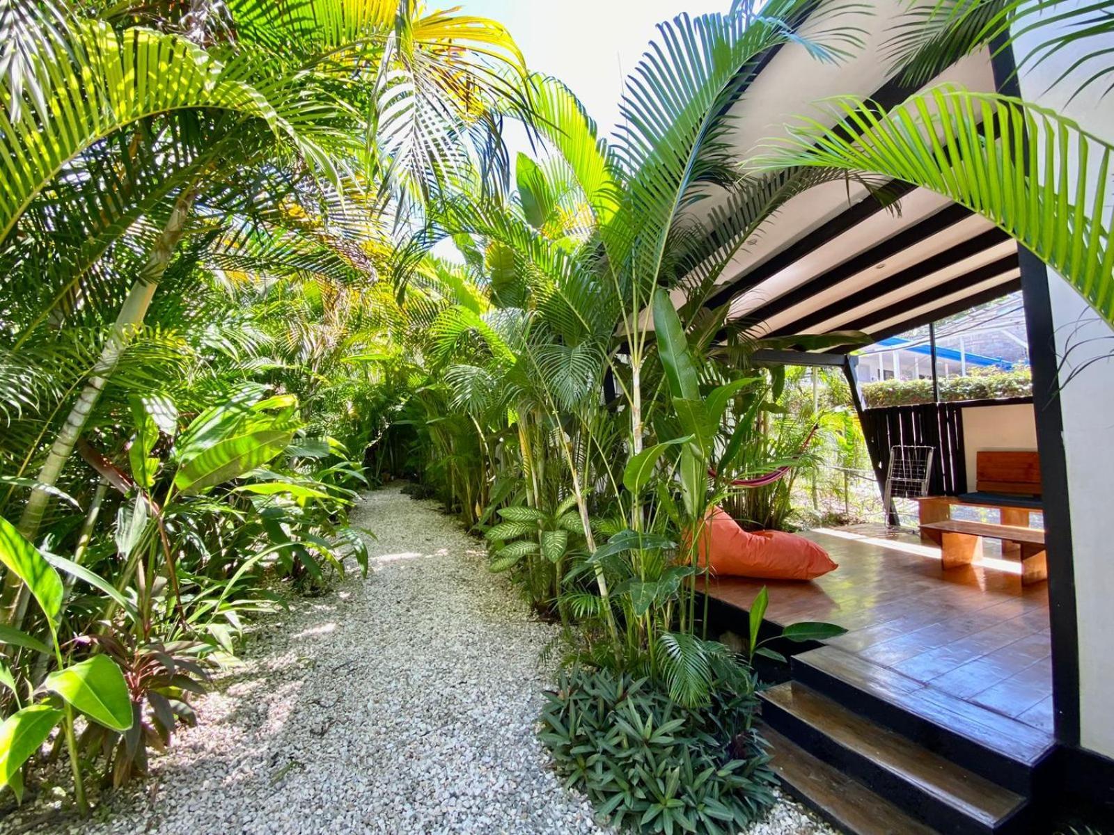 Santeria Lodge Playa Santa Teresa  외부 사진