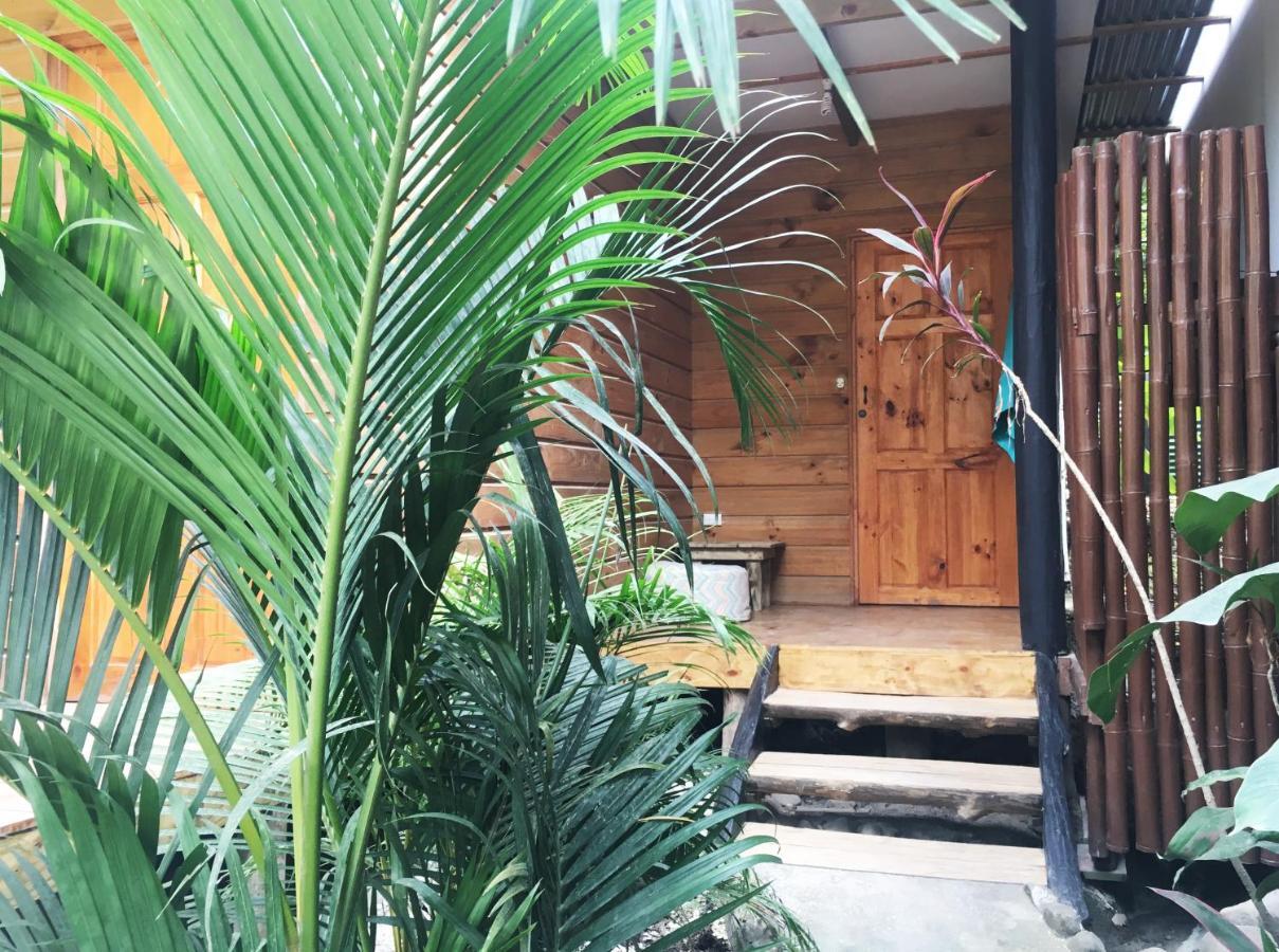Santeria Lodge Playa Santa Teresa  외부 사진